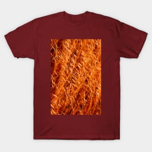 Golden Rain T-Shirt